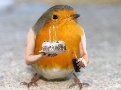 Birthday bird with arms Meme Template