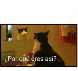 por que eres asi Meme Template