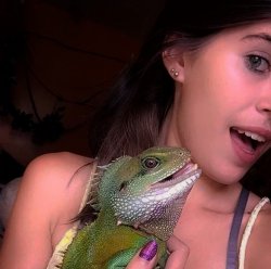 Lizard Meme Template