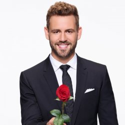 Bachelor Meme Template