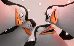 penguin gathering Meme Template