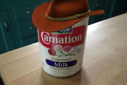 What in carnation? Meme Template