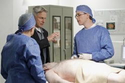 autopsy Meme Template