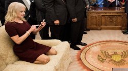 Kellyanne Conway Meme Template