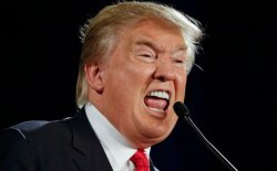 What the fuck trump Meme Template
