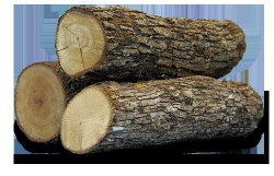 Daily Logs Meme Template