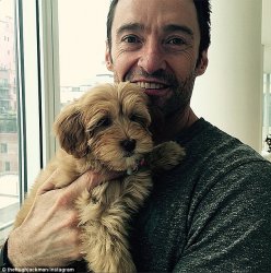 Hugh Jackman with a puppy Meme Template