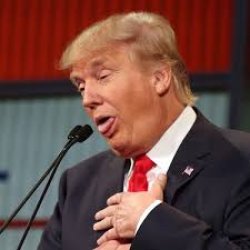 donald Meme Template