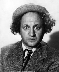 Larry fine 3 stooges Meme Template