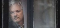 Lurking Assange Meme Template