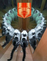 Tron cat master control program Meme Template