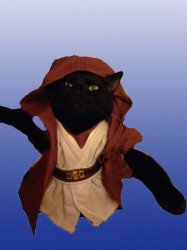 Jedi Cat Meme Template