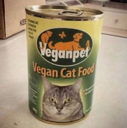 vegan cat food Meme Template