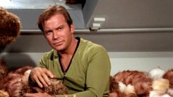 Kirk & Tribbles Meme Template