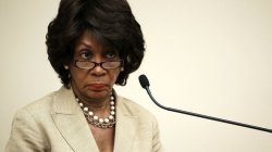 Maxine Waters Crazy Meme Template