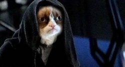 Emperor Grumpy Cat Palpatine Meme Template