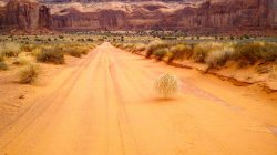 Desert Tumbleweed Meme Template