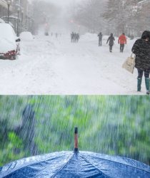 Swedish Spring and Summer Meme Template
