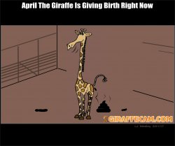 april the giraffe Meme Template