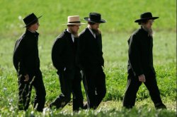 amish 1 Meme Template