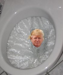 ToiletTrump Meme Template