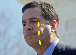 Sad Nunes Meme Template