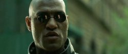 Matrix Morpheus Meme Template