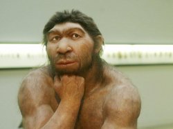 neanderthal Meme Template
