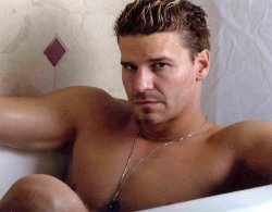 David Boreanaz tub Meme Template