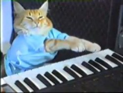 Keyboard Cat Meme Template
