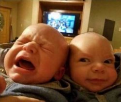 gemini Meme Template