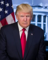 President Trump Official Portrait  Meme Template