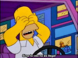Homer simpson ilegal Meme Template