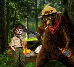 Smokey The Bear Drunk Meme Template