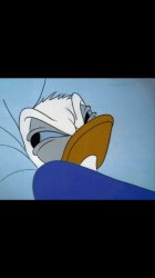 Donald Duck pissed Meme Template