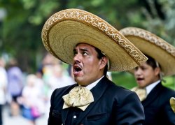 Singing Mariachi Meme Template