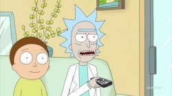 rick and morty tv Meme Template