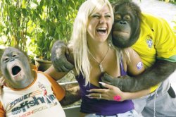 Woman groped by orangutan Meme Template
