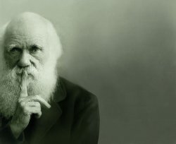 Darwin  Meme Template