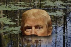 Donald's Cesspool Meme Template