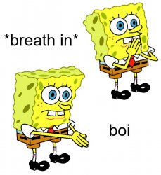 *breath in* boi Meme Template