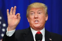 The Donald Meme Template