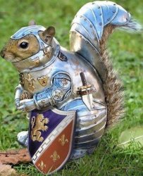 Armor squirrel Meme Template