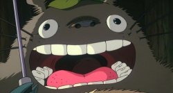 Totoro Meme Template