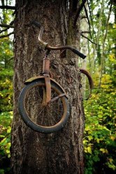 tree bycicle Meme Template