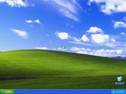 Windows XP Meme Template
