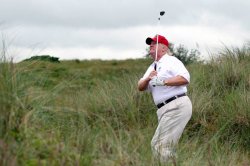Trump golf Meme Template