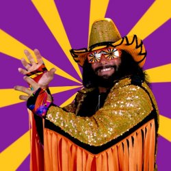 Macho Man Randy Savage Meme Template