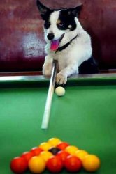 Snookered 3 Meme Template