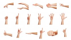 Hand Gestures Meme Template